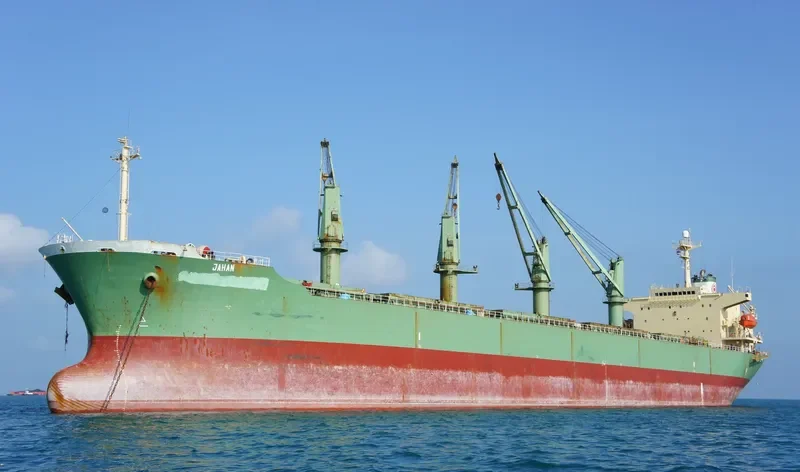 JAHAN Bulk Carrier IMO 9118446 photo 3