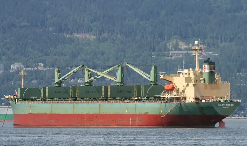 JAHAN Bulk Carrier IMO 9118446 photo 5