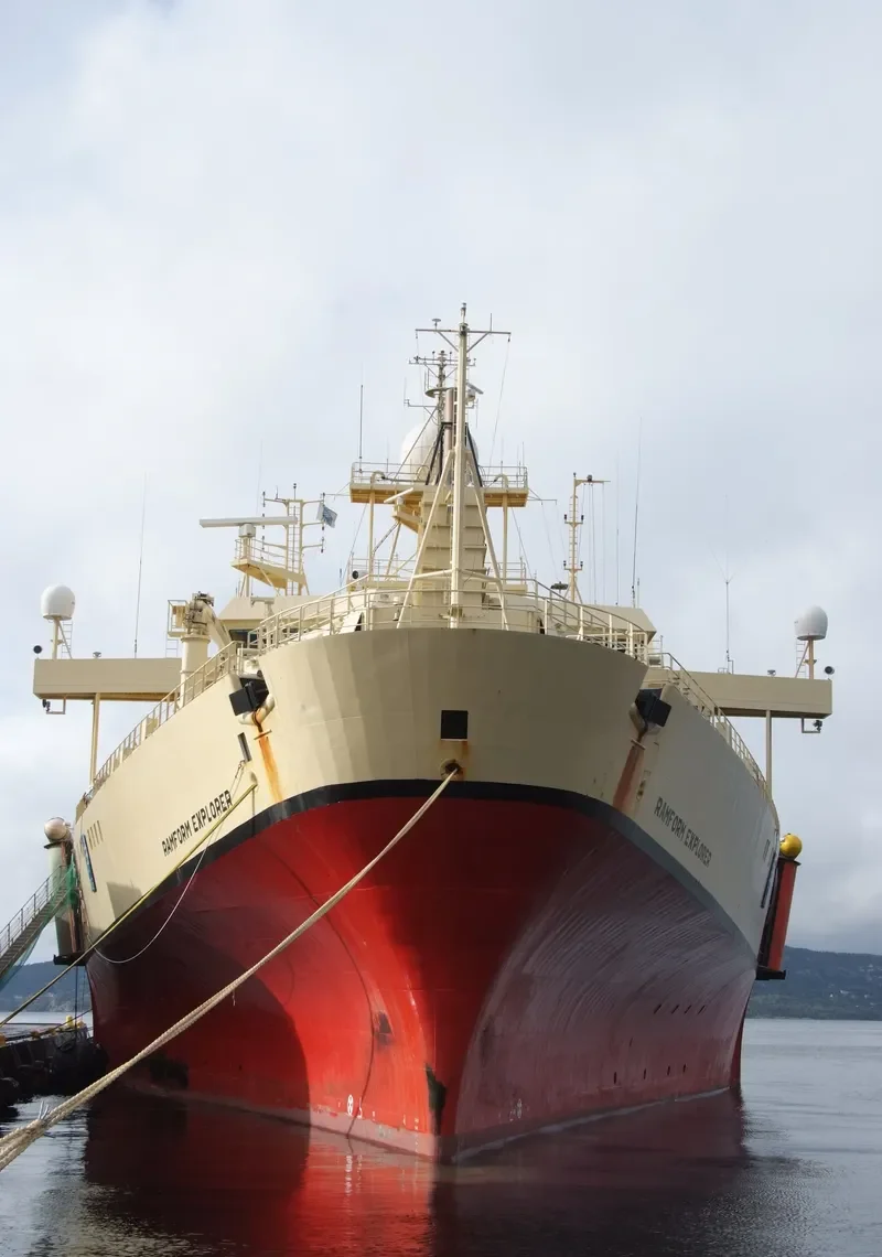 RAMFORM EXPLORER General Cargo IMO 9118472 photo 9