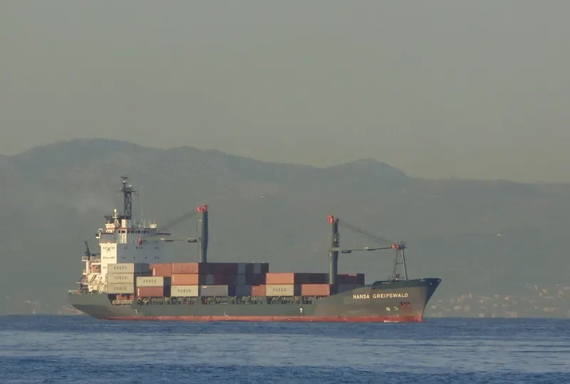 DALAI Container Ship IMO 9118501 photo 3