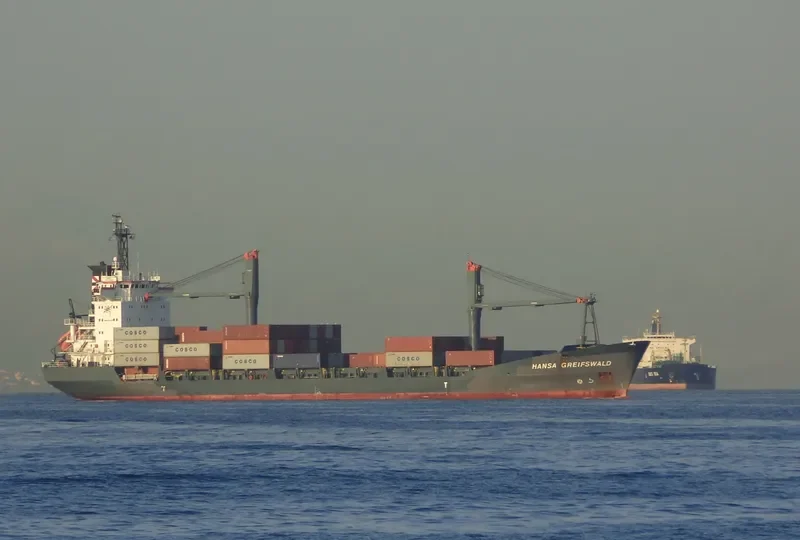 DALAI Container Ship IMO 9118501 photo 4