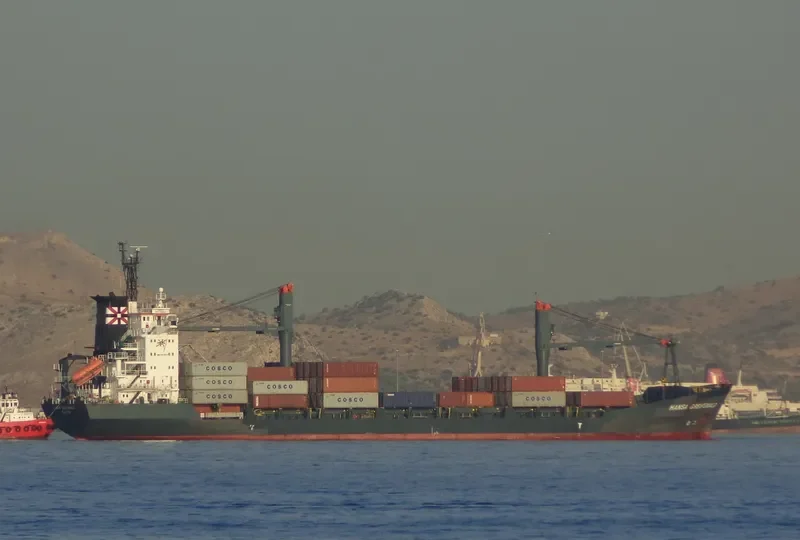 DALAI Container Ship IMO 9118501 photo 6
