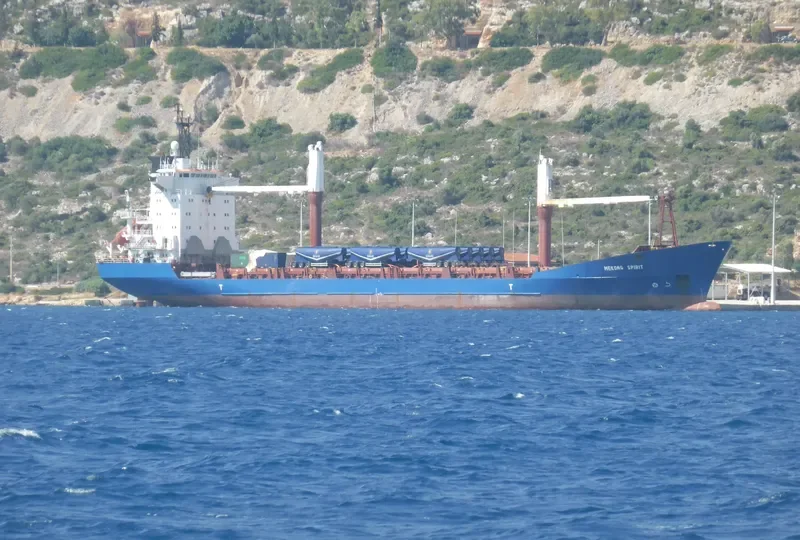 MEKONG SPIRIT Container Ship IMO 9118513 photo 2