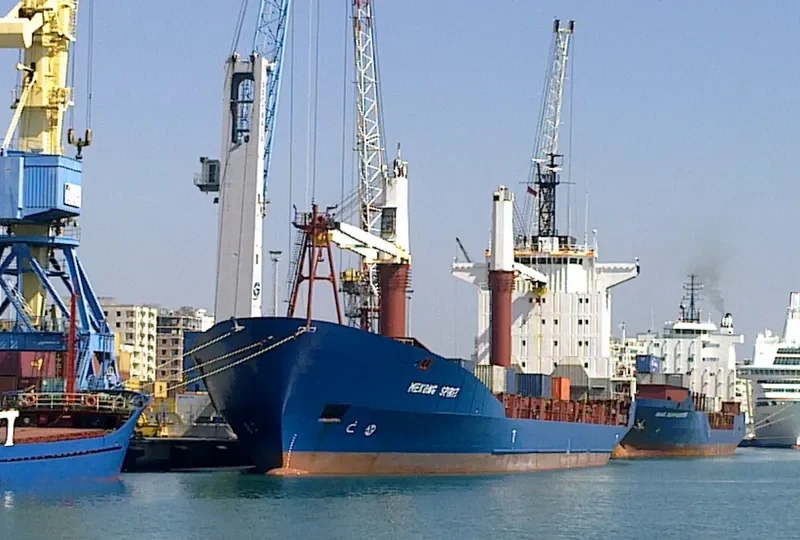 MEKONG SPIRIT Container Ship IMO 9118513 photo 3