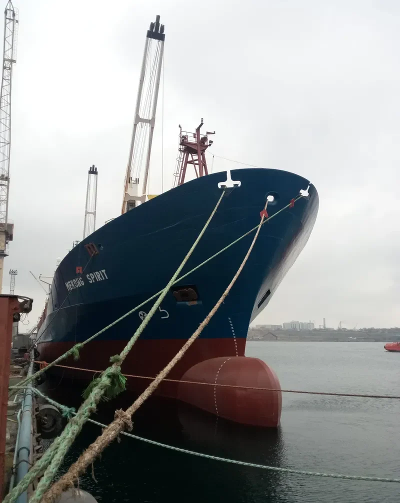 MEKONG SPIRIT Container Ship IMO 9118513 photo 6