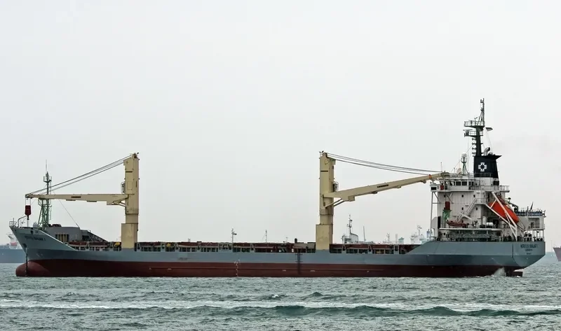 MERAT Container Ship IMO 9118575 photo 7