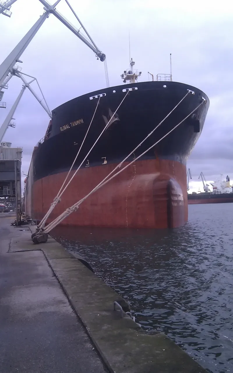 ZHENG TAI Bulk Carrier IMO 9118666 photo 2