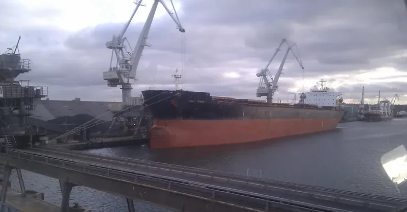 ZHENG TAI Bulk Carrier IMO 9118666 photo 3