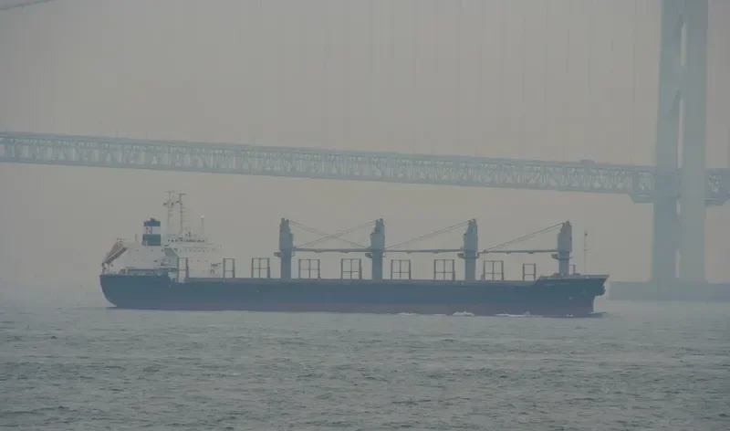 ZHENG TAI Bulk Carrier IMO 9118666 photo 4
