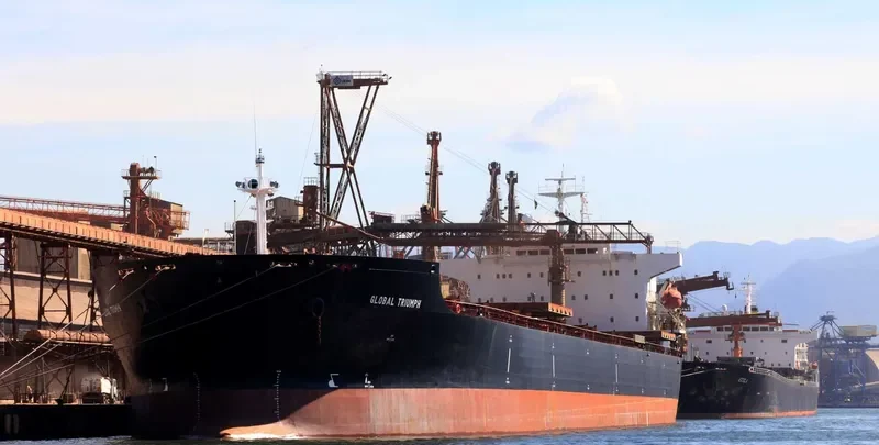 ZHENG TAI Bulk Carrier IMO 9118666 photo 6