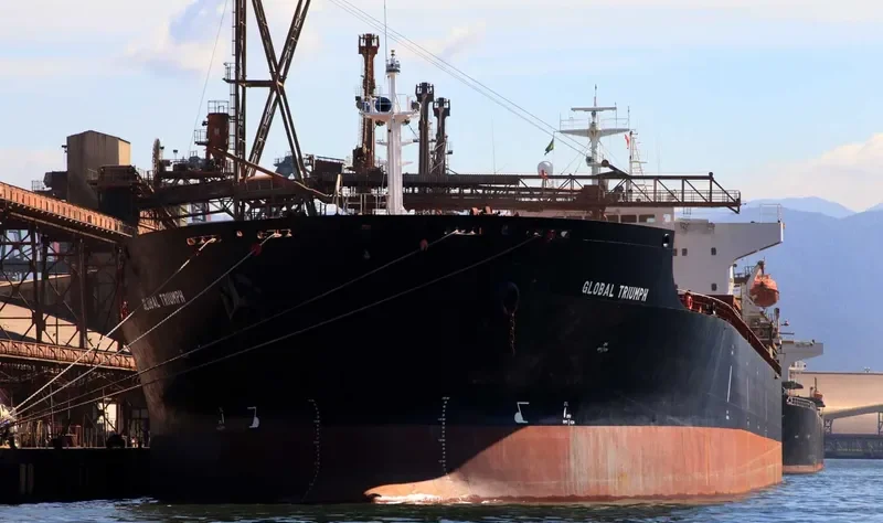 ZHENG TAI Bulk Carrier IMO 9118666 photo 7