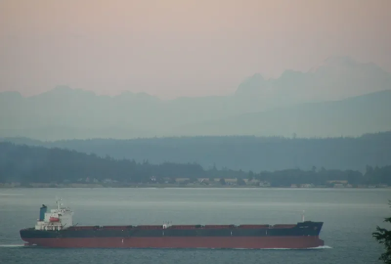 ZHENG TAI Bulk Carrier IMO 9118666 photo 8