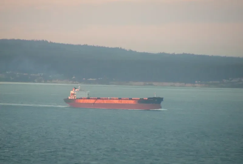 ZHENG TAI Bulk Carrier IMO 9118666 photo 9