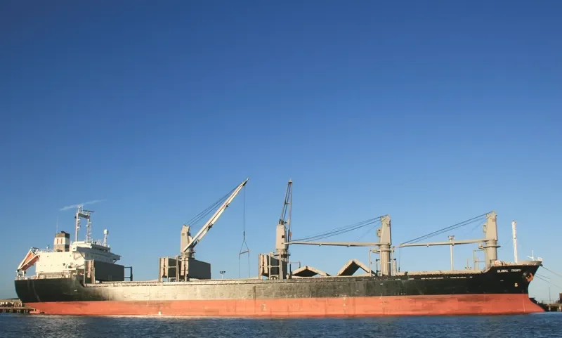 ZHENG TAI Bulk Carrier IMO 9118666 photo 10