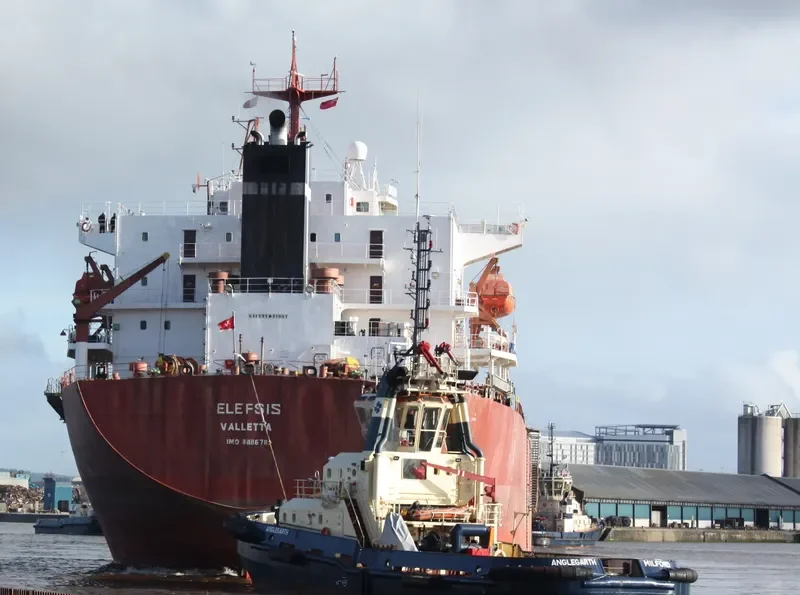 ELEFSIS Bulk Carrier IMO 9118678 photo 2