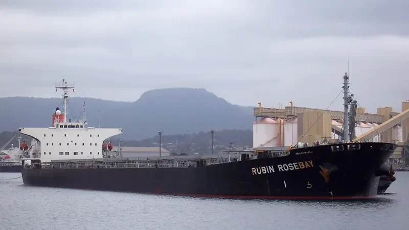 JIN HAI XIANG Bulk Carrier IMO 9118824