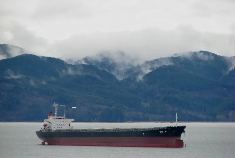 AN PING 8 Bulk Carrier IMO 9118848 photo 3