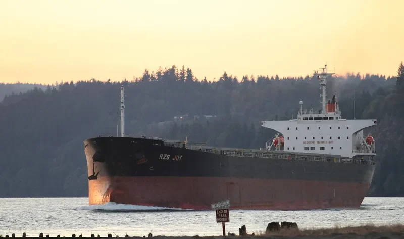 AN PING 8 Bulk Carrier IMO 9118848 photo 5