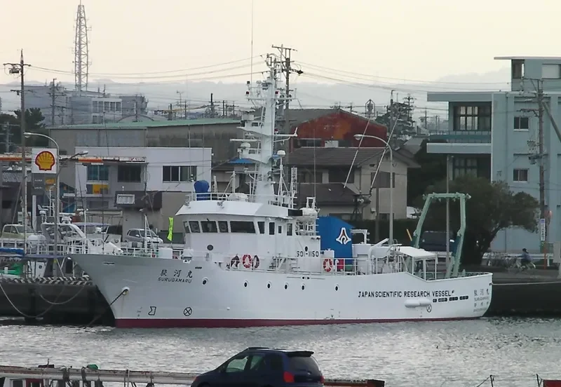SURUGA MARU General Cargo IMO 9118886