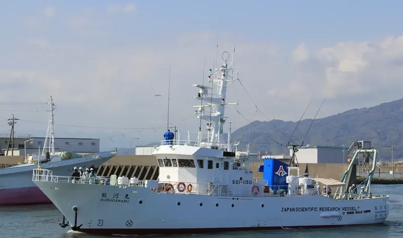 SURUGA MARU General Cargo IMO 9118886 photo 9