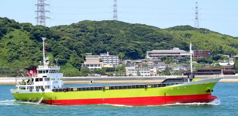 KAIUN MARU General Cargo IMO 9118915 photo 3