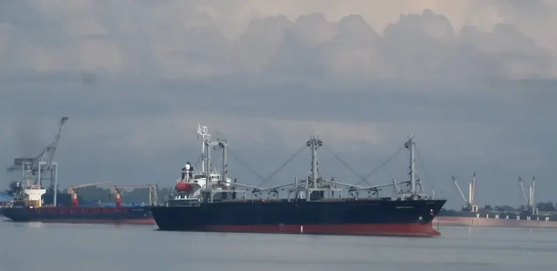 LUCKY HARVEST General Cargo IMO 9119062
