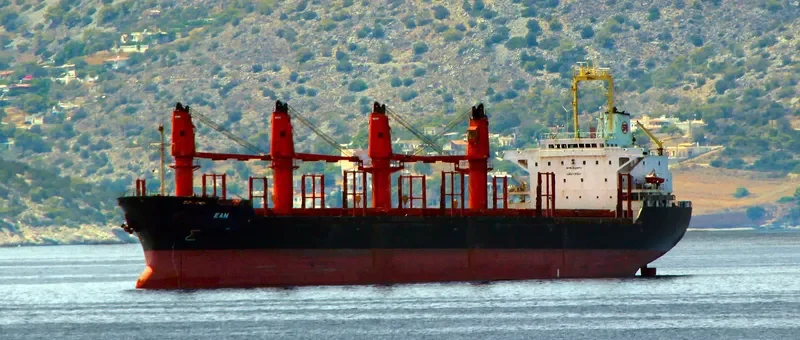 LENIENT Bulk Carrier IMO 9119074 photo 2