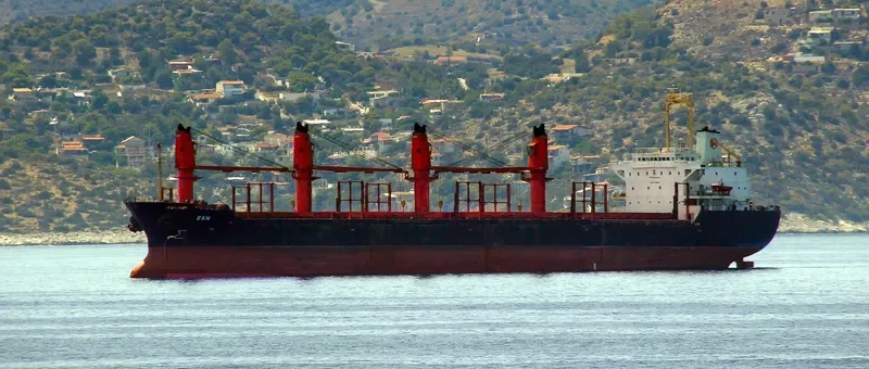 LENIENT Bulk Carrier IMO 9119074 photo 3