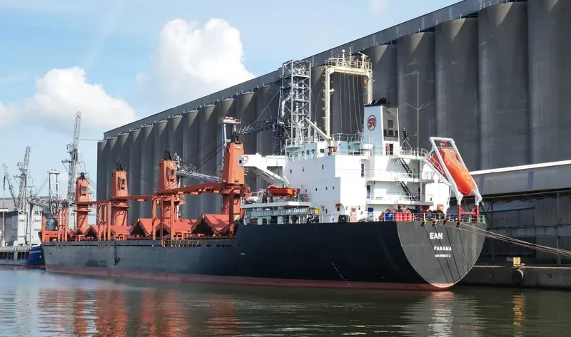 LENIENT Bulk Carrier IMO 9119074 photo 6