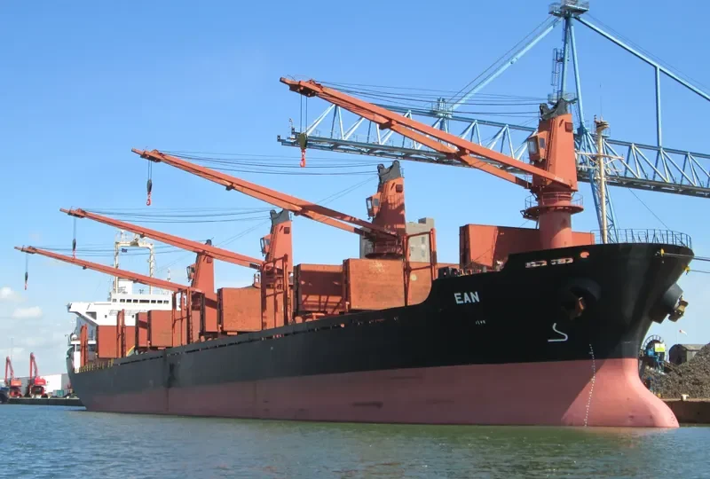 LENIENT Bulk Carrier IMO 9119074 photo 9