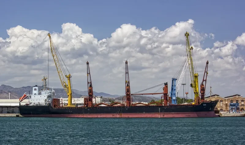 LENIENT Bulk Carrier IMO 9119074 photo 10
