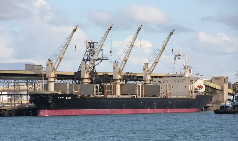 BEST HARMONY Bulk Carrier IMO 9119086 photo 2