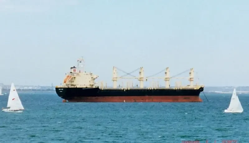 BEST HARMONY Bulk Carrier IMO 9119086 photo 5