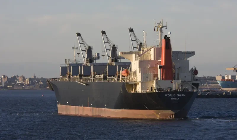WORLD SWAN Bulk Carrier IMO 9119098