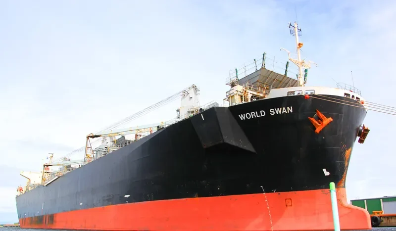 WORLD SWAN Bulk Carrier IMO 9119098 photo 6