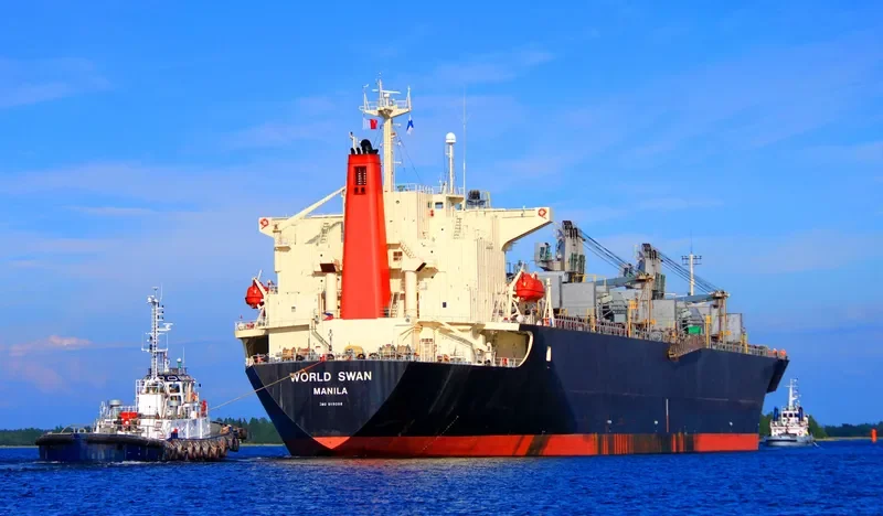 WORLD SWAN Bulk Carrier IMO 9119098 photo 7