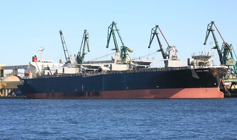 WORLD SWAN Bulk Carrier IMO 9119098 photo 9