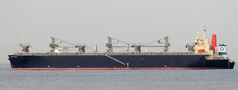 WORLD SWAN Bulk Carrier IMO 9119098 photo 10