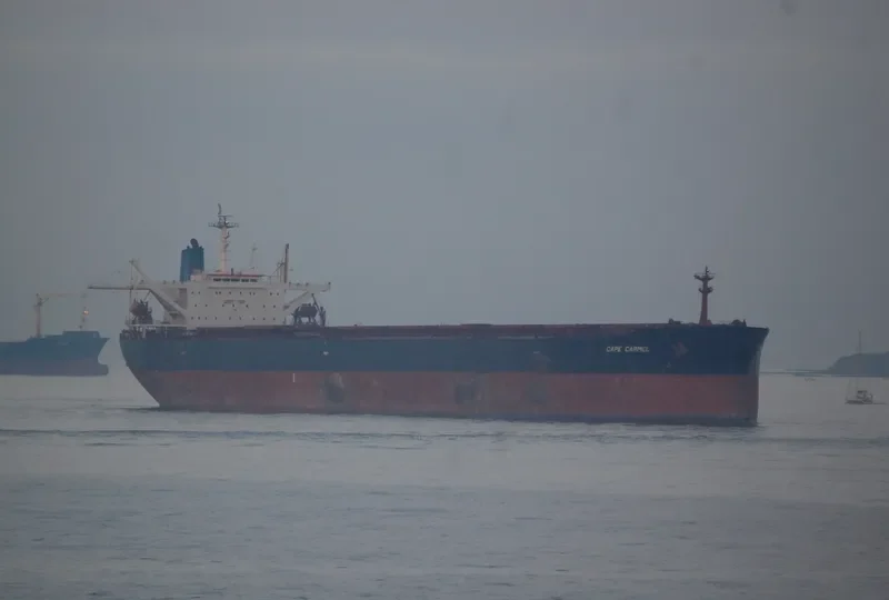 CAPE CARMEL Bulk Carrier IMO 9119139