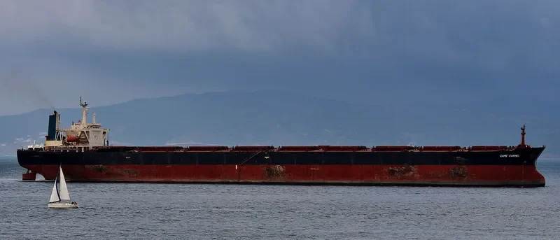 CAPE CARMEL Bulk Carrier IMO 9119139 photo 4