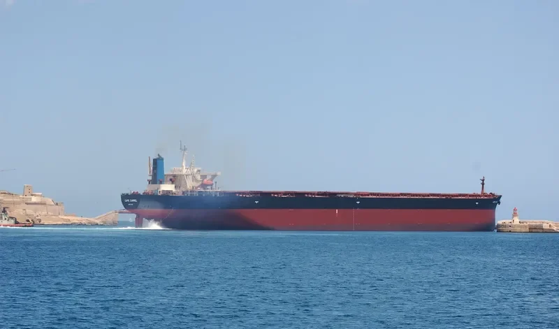 CAPE CARMEL Bulk Carrier IMO 9119139 photo 6