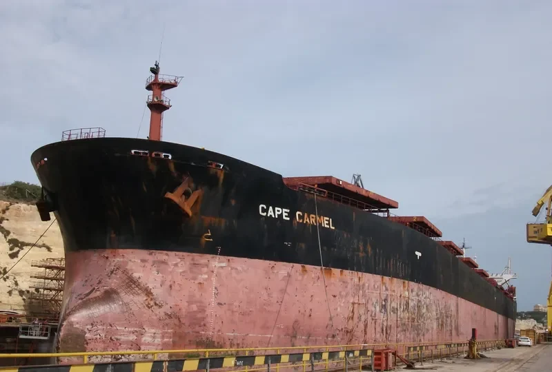 CAPE CARMEL Bulk Carrier IMO 9119139 photo 7