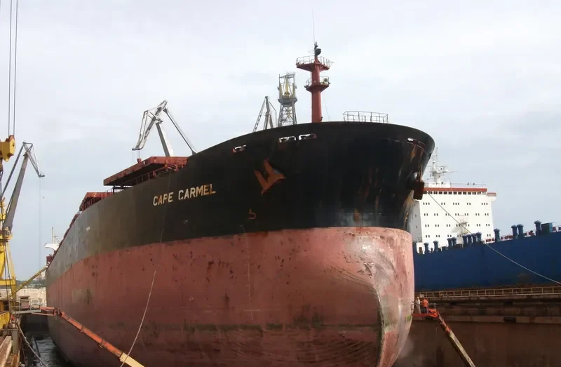 CAPE CARMEL Bulk Carrier IMO 9119139 photo 8