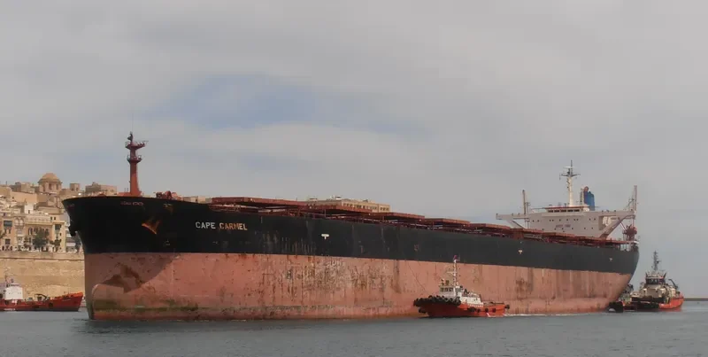 CAPE CARMEL Bulk Carrier IMO 9119139 photo 9