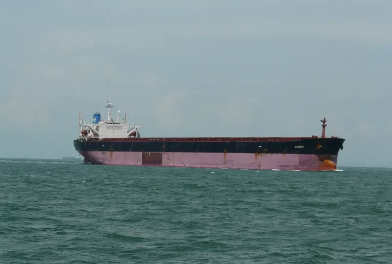 QUORN Bulk Carrier IMO 9119141