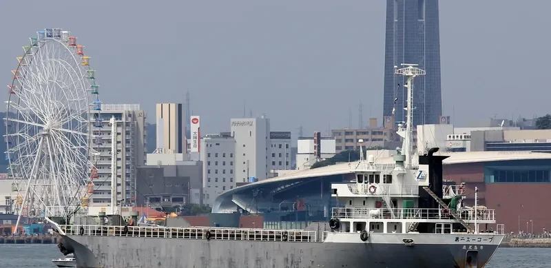 RIGHT COURSE General Cargo IMO 9119270