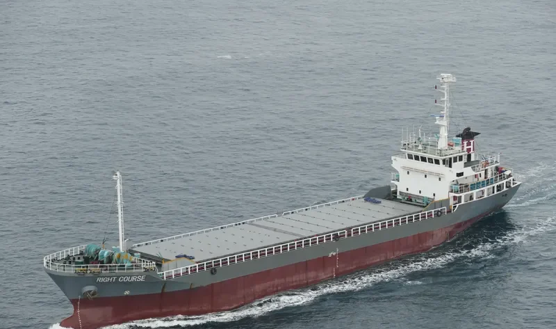 RIGHT COURSE General Cargo IMO 9119270 photo 5