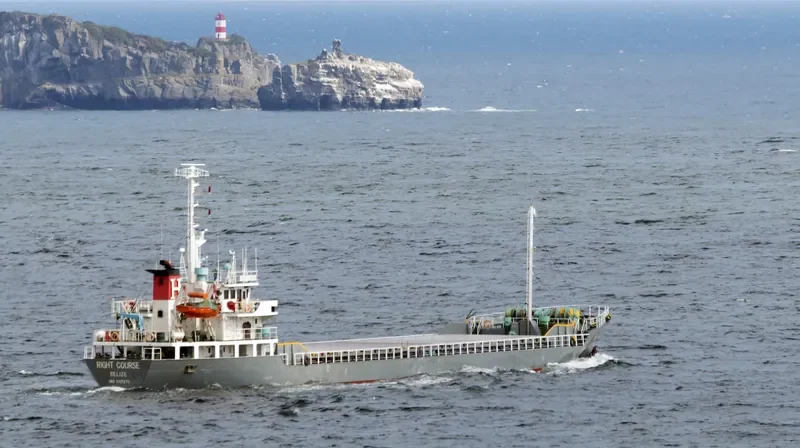 RIGHT COURSE General Cargo IMO 9119270 photo 8