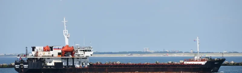 SURGUT General Cargo IMO 9119361 photo 2