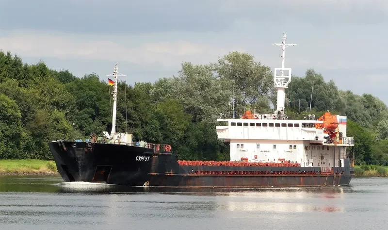 SURGUT General Cargo IMO 9119361 photo 7